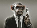 Skull Monkey