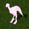 Archivo:Oclock tiluca.jpg