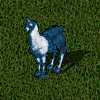 Llama lunar.png